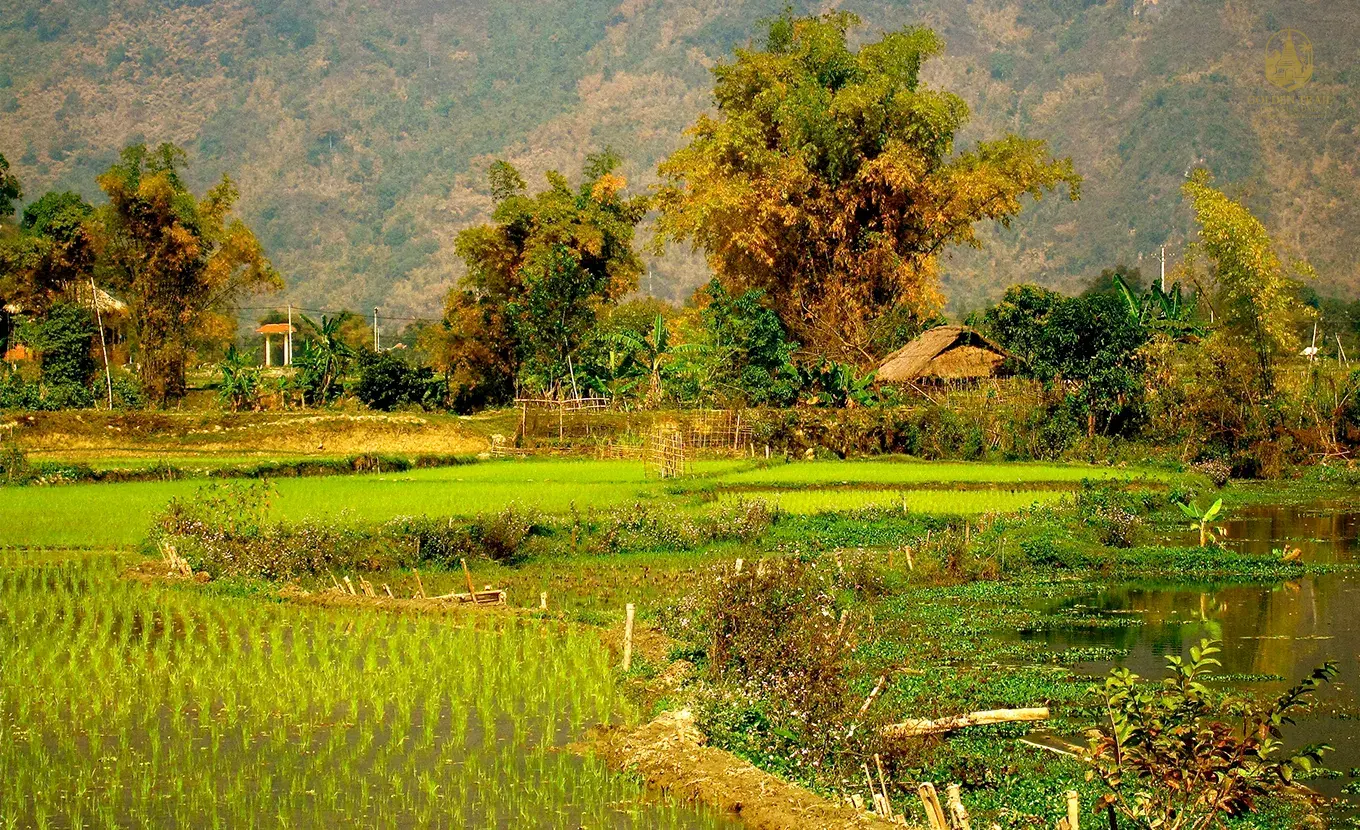 Easy Mai Chau Exploration – 2 Days of Mountain Serenity & Ethnic Village Charm